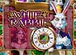 150 Free Spins + 300$ from PlayAmo Casino to play White Rabbit Slot